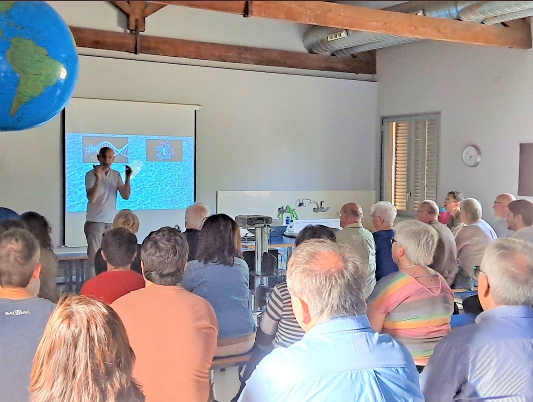 Screenshot_2022-07-15-10-30-54-71_0b2fce7a16bf2b728d6ffa28c8d60efb-2